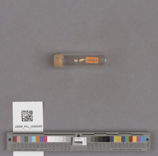 NSF ADBC EPICC TCN