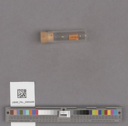 NSF ADBC EPICC TCN