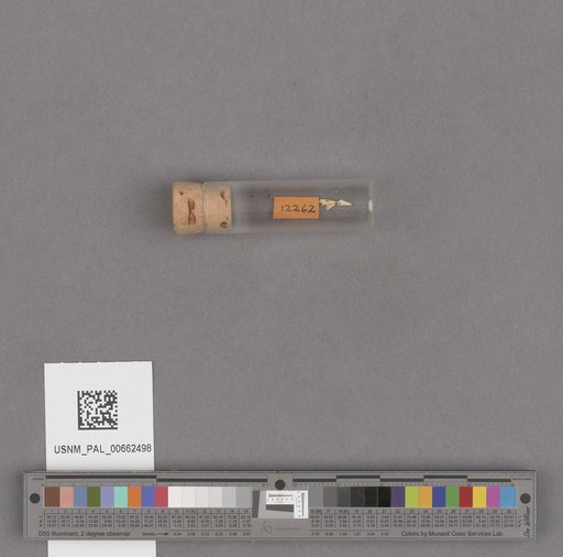NSF ADBC EPICC TCN