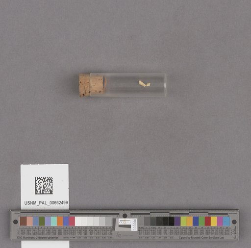 NSF ADBC EPICC TCN