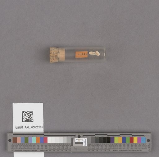 NSF ADBC EPICC TCN