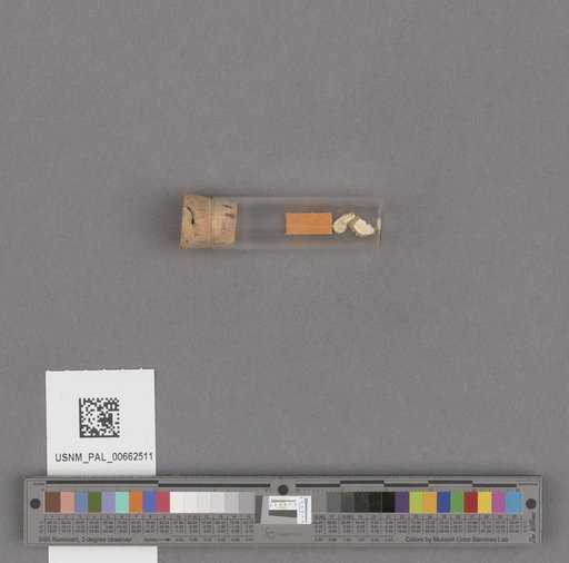 NSF ADBC EPICC TCN