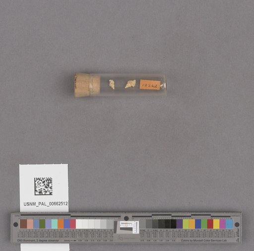 NSF ADBC EPICC TCN