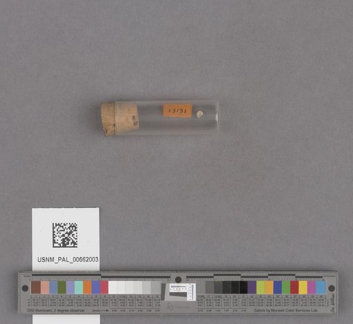 NSF ADBC EPICC TCN