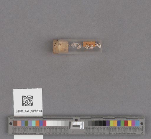 NSF ADBC EPICC TCN