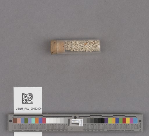 NSF ADBC EPICC TCN