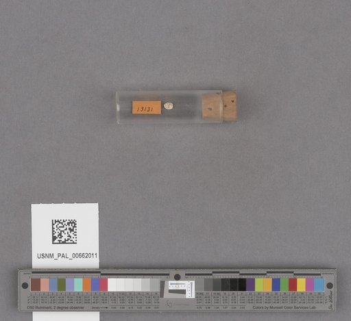 NSF ADBC EPICC TCN
