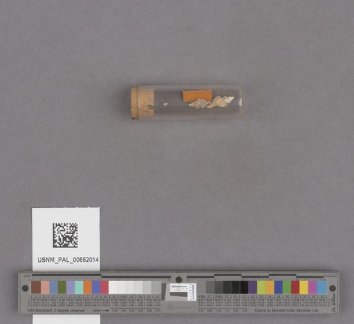 NSF ADBC EPICC TCN
