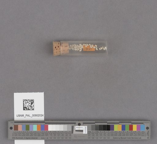 NSF ADBC EPICC TCN