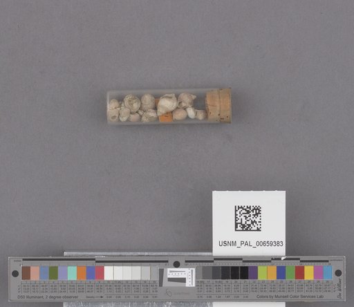 NSF ADBC EPICC TCN