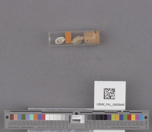 NSF ADBC EPICC TCN