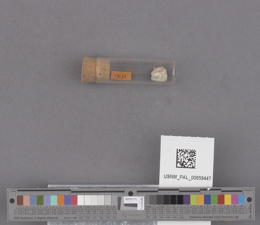 NSF ADBC EPICC TCN