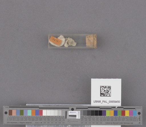 NSF ADBC EPICC TCN