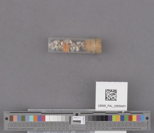 NSF ADBC EPICC TCN