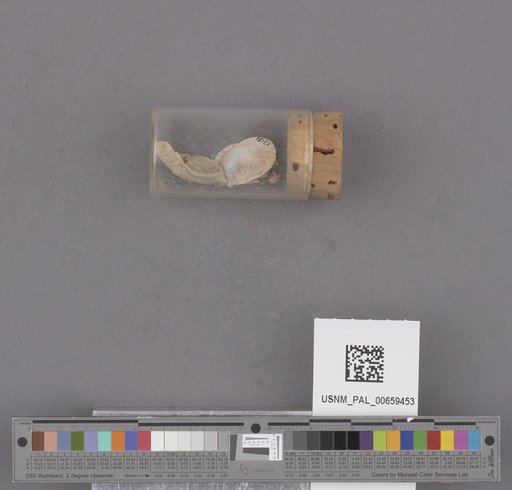 NSF ADBC EPICC TCN