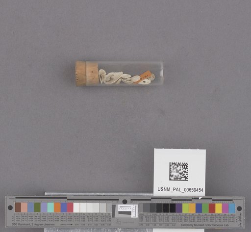 NSF ADBC EPICC TCN