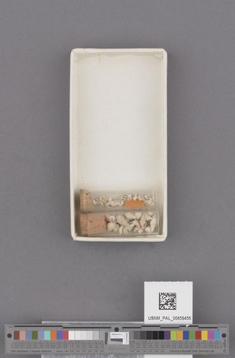 NSF ADBC EPICC TCN