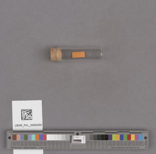 NSF ADBC EPICC TCN