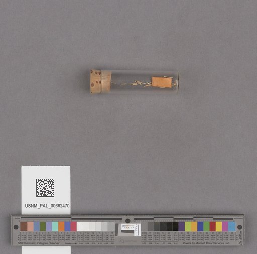 NSF ADBC EPICC TCN