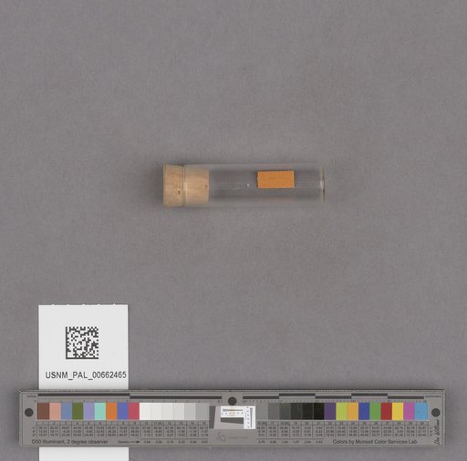 NSF ADBC EPICC TCN