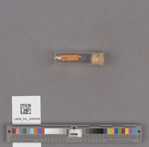 NSF ADBC EPICC TCN
