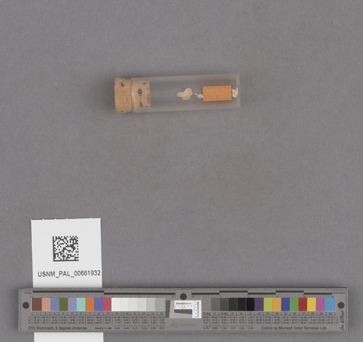 NSF ADBC EPICC TCN