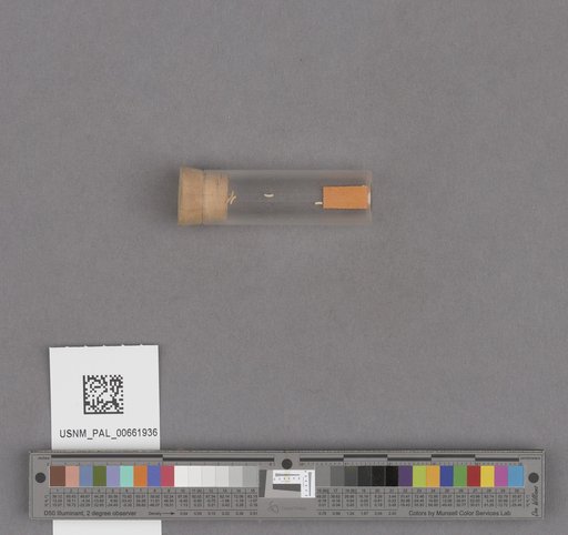 NSF ADBC EPICC TCN