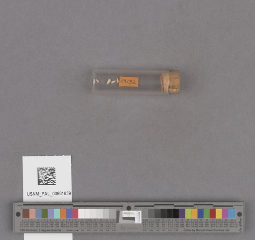 NSF ADBC EPICC TCN