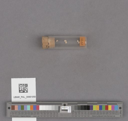 NSF ADBC EPICC TCN