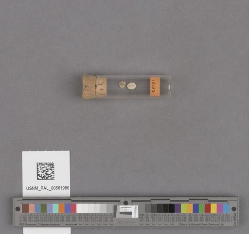 NSF ADBC EPICC TCN