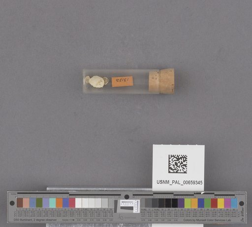 NSF ADBC EPICC TCN