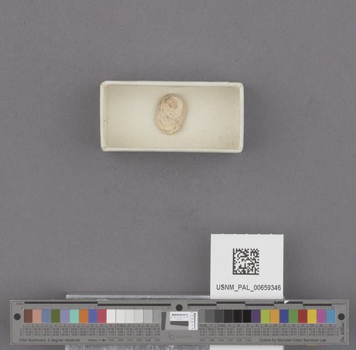 NSF ADBC EPICC TCN
