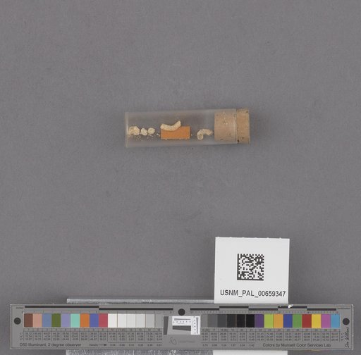 NSF ADBC EPICC TCN