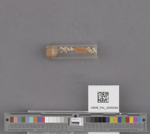 NSF ADBC EPICC TCN