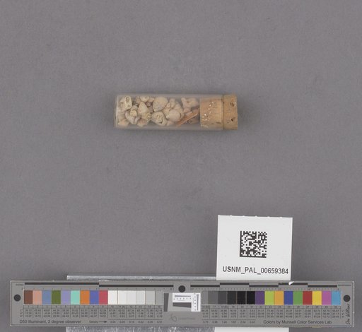 NSF ADBC EPICC TCN