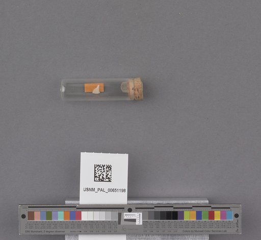 NSF ADBC EPICC TCN