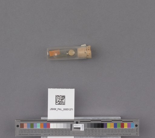 NSF ADBC EPICC TCN