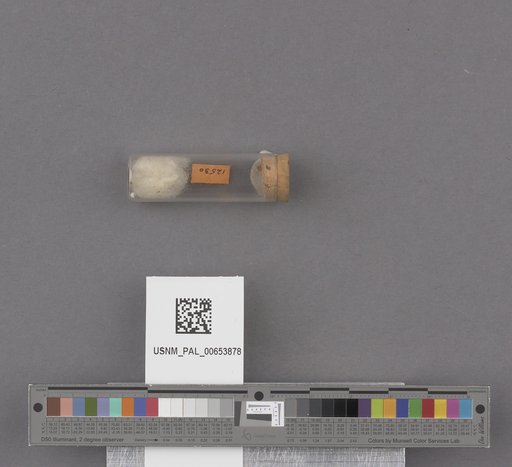 NSF ADBC EPICC TCN