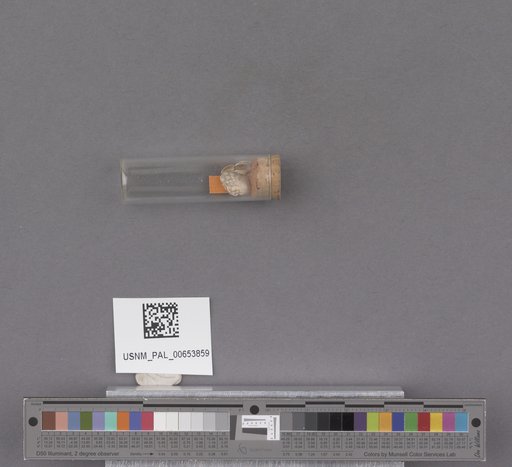 NSF ADBC EPICC TCN