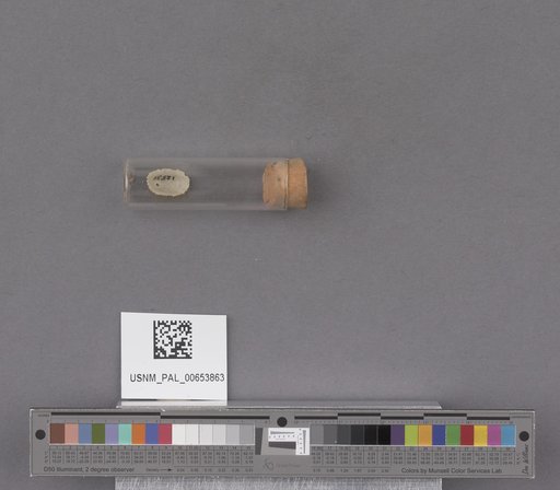 NSF ADBC EPICC TCN