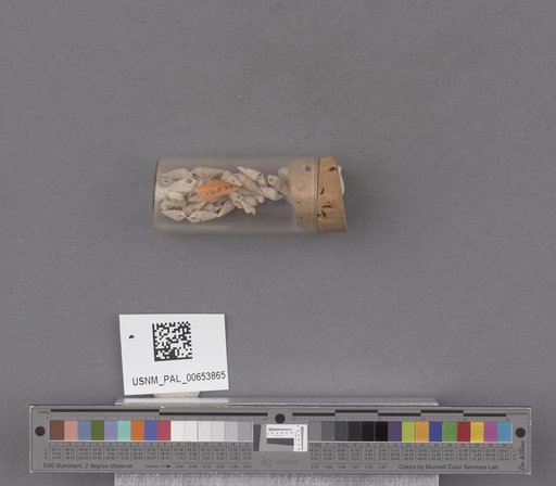 NSF ADBC EPICC TCN