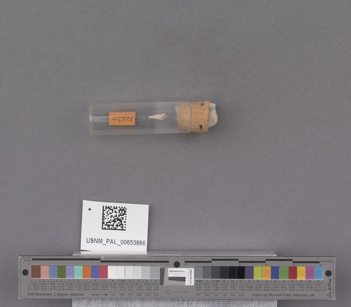 NSF ADBC EPICC TCN
