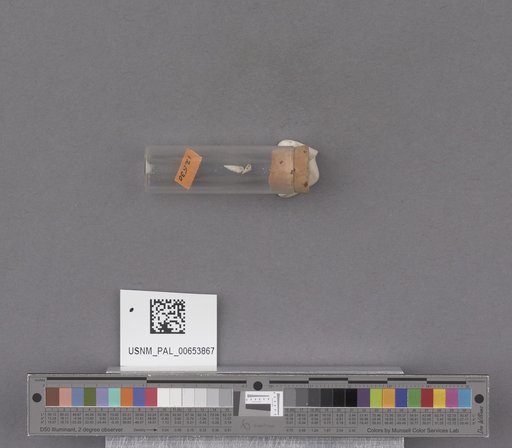 NSF ADBC EPICC TCN