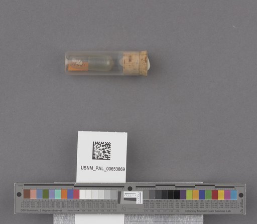 NSF ADBC EPICC TCN