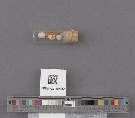 NSF ADBC EPICC TCN