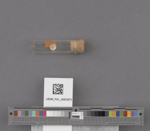 NSF ADBC EPICC TCN