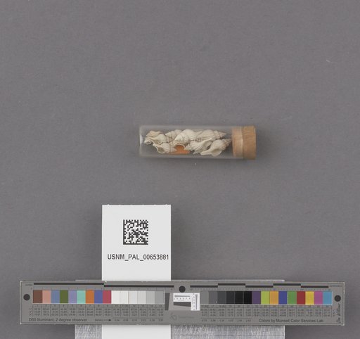 NSF ADBC EPICC TCN
