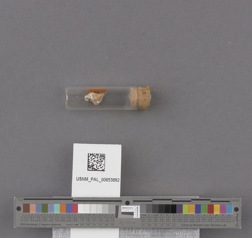 NSF ADBC EPICC TCN