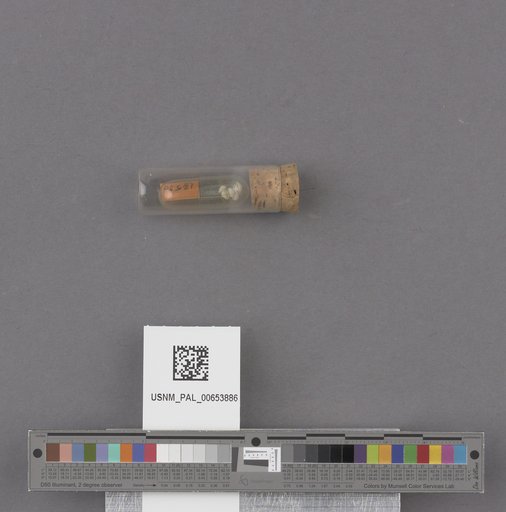 NSF ADBC EPICC TCN