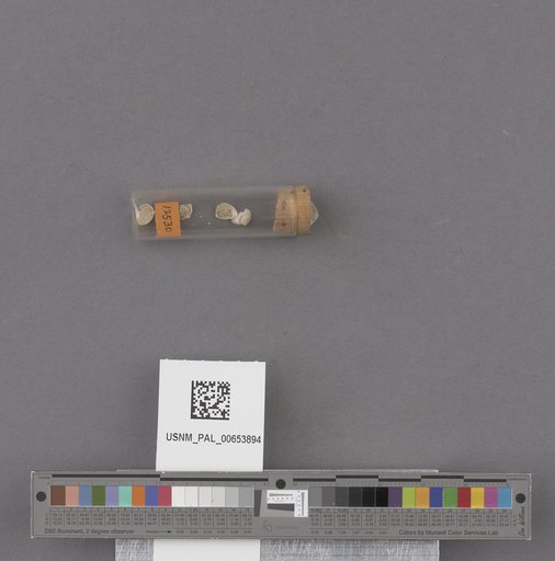 NSF ADBC EPICC TCN